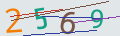 verifycode